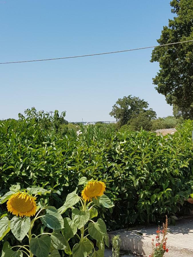 Trulli Della Masseria Staffone Αλμπερομπέλο Εξωτερικό φωτογραφία